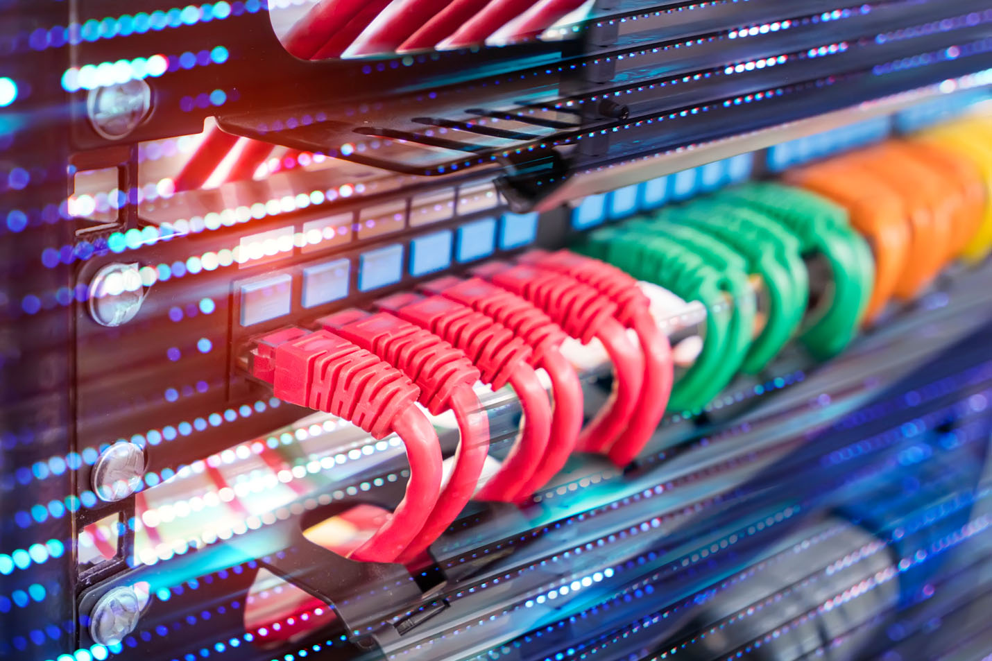 Ethernet cords plugged into a server
